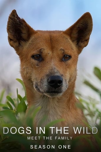 Portrait for Dogs in the Wild: Meet the Family - Season 1