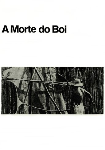 Poster of A Morte do Boi