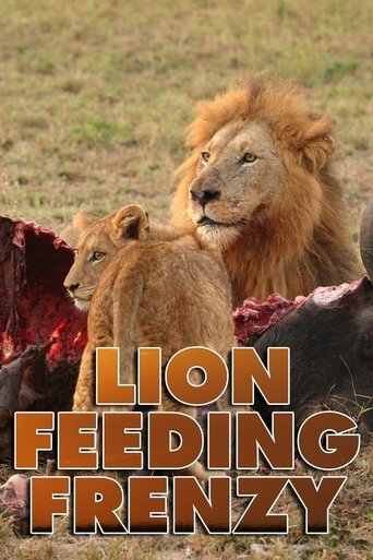 Poster of Lion Feeding Frenzy
