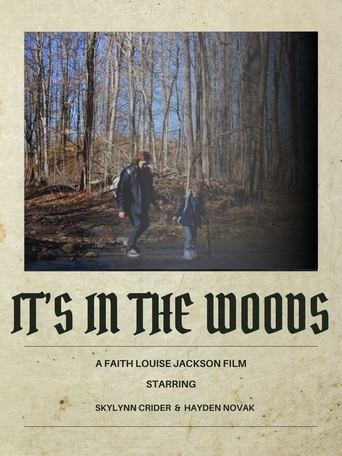 Poster of It's In The Woods