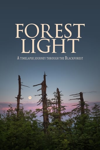 Poster of Forest Light