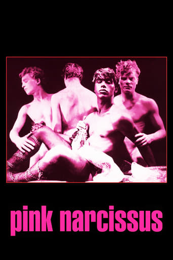 Poster of Pink Narcissus