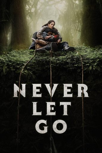 Poster of Never Let Go