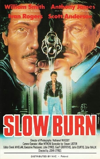 Poster of Slow Burn