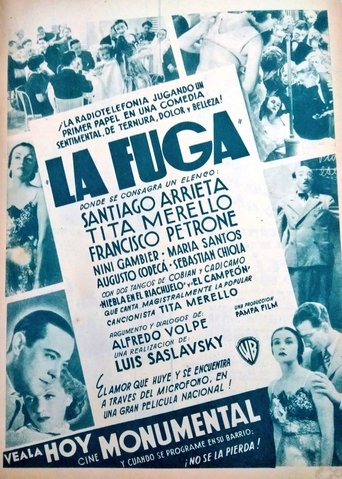 Poster of La fuga