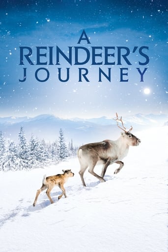 Poster of A Reindeer's Journey