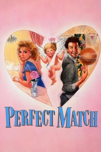 Poster of The Perfect Match