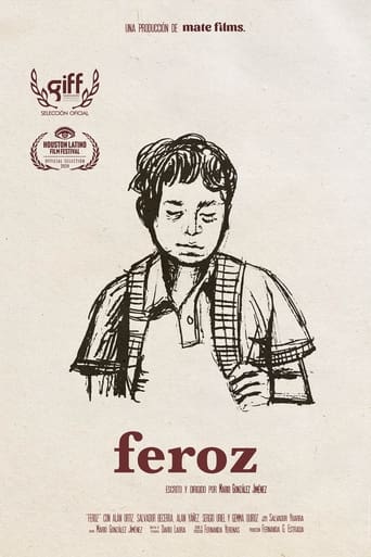 Poster of Feroz