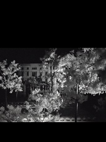 View Through a Park Poster of View Through a Park