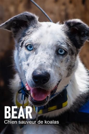 Poster of Bear, chien sauveur de koalas