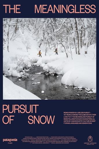 Poster of The Meaningless Pursuit of Snow