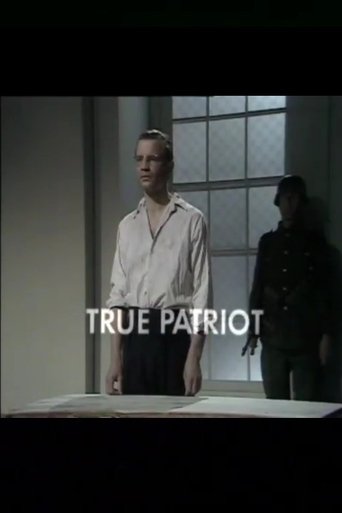Poster of True Patriot
