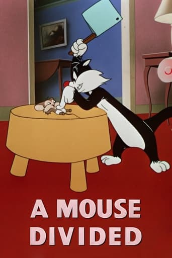 Poster of A Mouse Divided