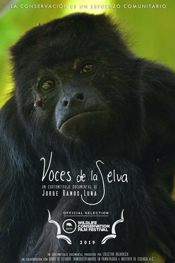 Poster of Rainforest Voices