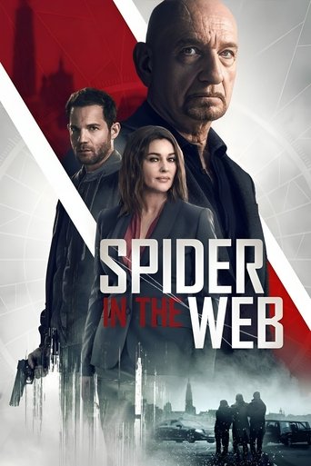 Poster of Spider in the Web