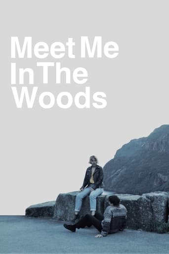 Poster of Meet me in the woods