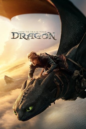 Poster of How to Train Your Dragon