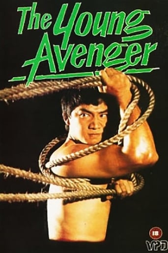 Poster of The Young Avenger