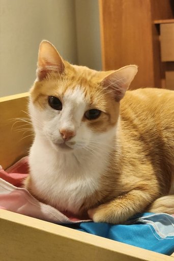 Portrait of Barry