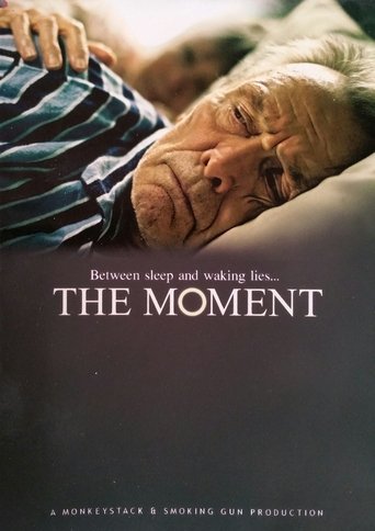 Poster of The Moment