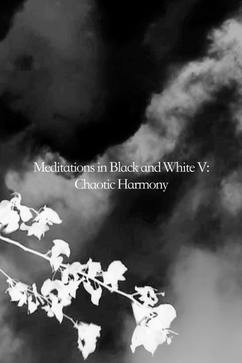 Poster of Meditations in Black and White V: Chaotic Harmony
