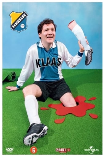 Poster of Klaas van der Eerden: Schwalbe