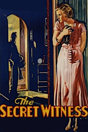 Poster of The Secret Witness