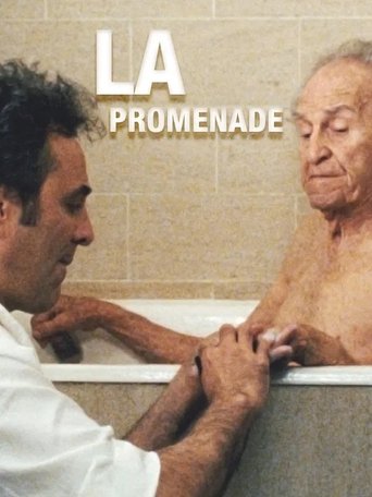 Poster of La promenade