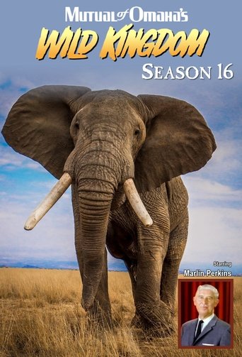Portrait for Mutual of Omaha's Wild Kingdom - Season 16
