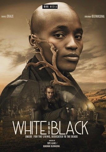 Poster of White and Black