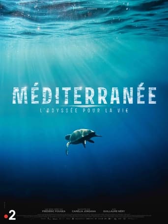 Poster of Mediterranean: Life Under Siege