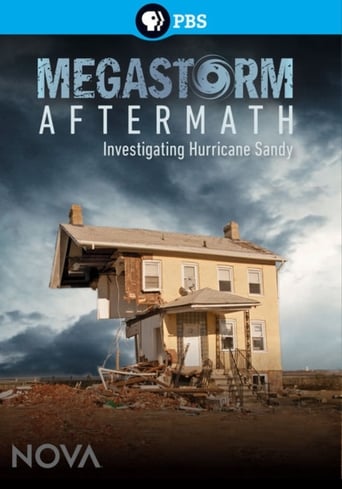 Poster of Megastorm Aftermath