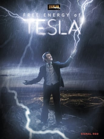 Poster of Tesla's Free Energy, the Race to Zero Point