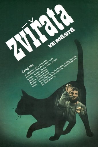 Poster of Zvířata ve městě