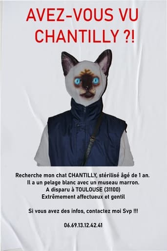 Poster of AVEZ-VOUS VU CHANTILLY ?!