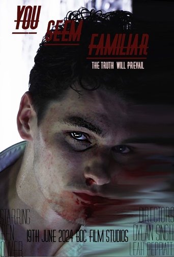 Poster of You Seem Familiar