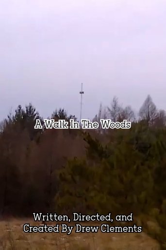 Poster of A Walk In The Woods