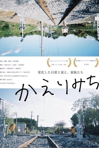 Poster of The Road Home