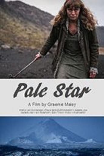 Poster of Pale Star