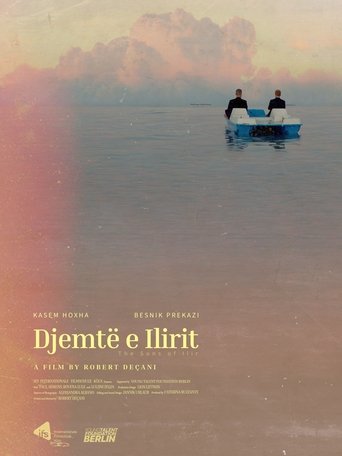 Poster of The Sons of Ilir