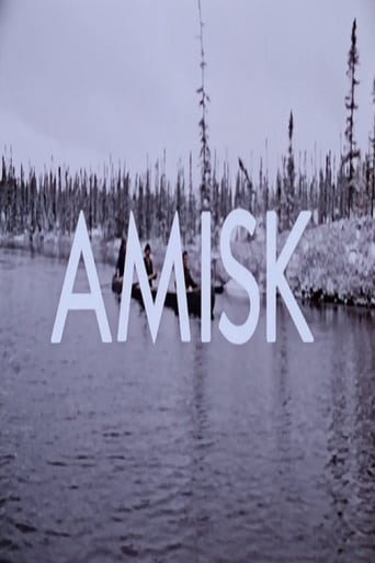 Poster of Amisk