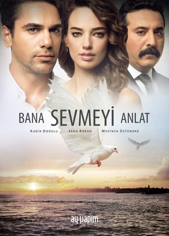 Poster of Wings of Love