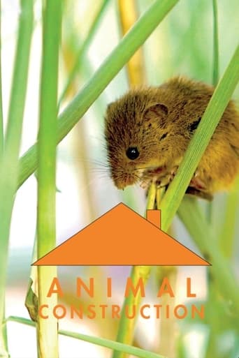 Poster of Animal Construction