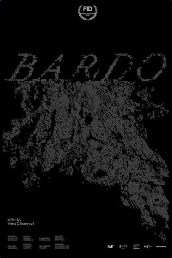 Poster of Bardo