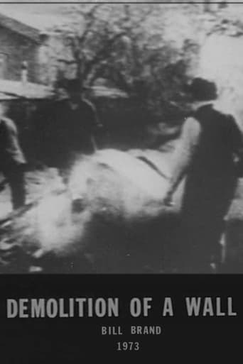 Poster of Demolition of a Wall