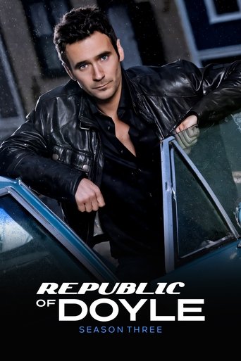 Portrait for Republic of Doyle - Season 3