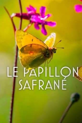 Poster of The Story of the Saffron Butterfly