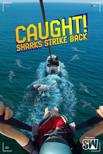 Poster of Caught! Sharks Strike Back