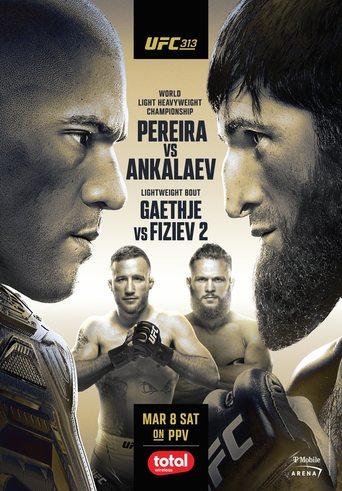 Poster of UFC 313: Pereira vs. Ankalaev