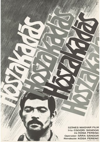 Poster of Snowfall